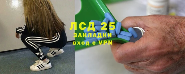 стаф Сосновоборск