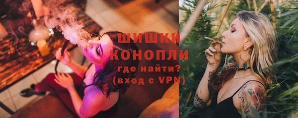 стаф Сосновоборск