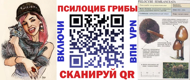 Купить где  Шахунья  Псилоцибиновые грибы ЛСД 
